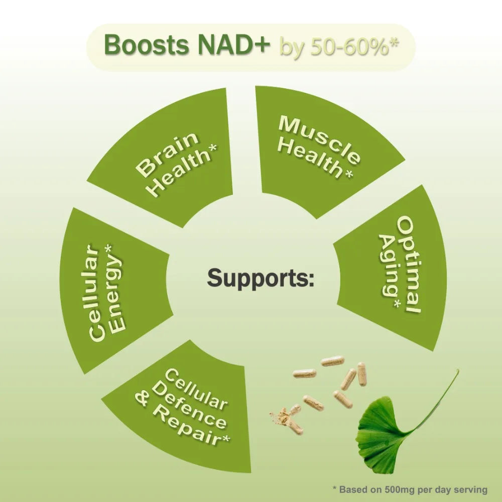 High Purity NAD Boosting Supplement: Liposomal Nicotinamide Riboside with Resveratrol & Quercetin – Alternative to NAD Supplement