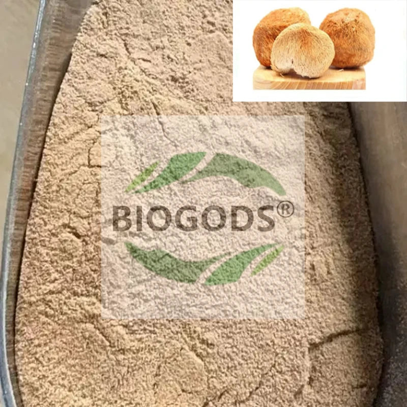 BIOGODS LIONS MANE Supreme Extract Powder - Hericium Erinaceus (50g - 1000g) Factory Direct Shipping