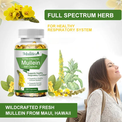 Natural Mullein Leaf Capsules - Respiratory Support | 1000 mg per Serving