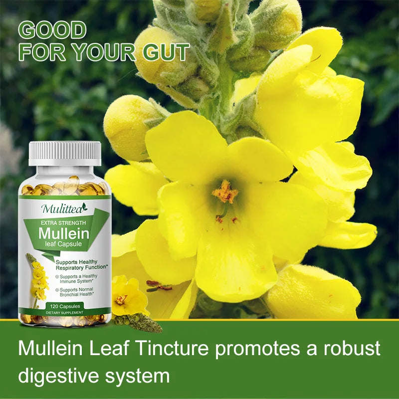 Natural Mullein Leaf Capsules - Respiratory Support | 1000 mg per Serving