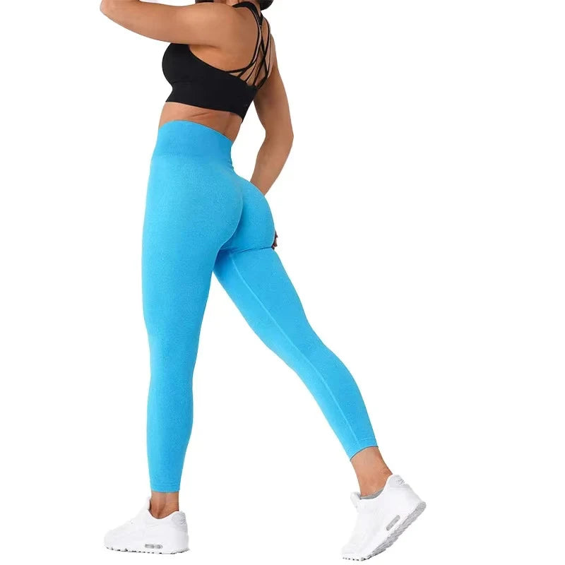 TKITK Caribbean Blue Seamless Leggings Spandex Shorts Woman Fitness Elastic Breathable Hip-lifting